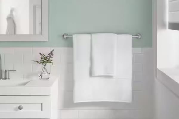 Dorind 24 in. Towel Bar in Brushed Nickel