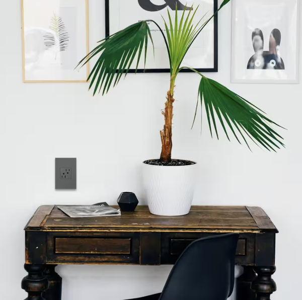 Legrand Adorne 1-Gang Decorator/Rocker Wall Plate with Microban, Magnesium (1-Pack)