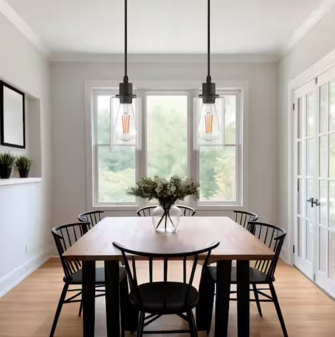 Briignite Matte Black Rustic Industrial 60-Watt 1-Light Mini Pendant Light with Glass Shade (2-Pack)