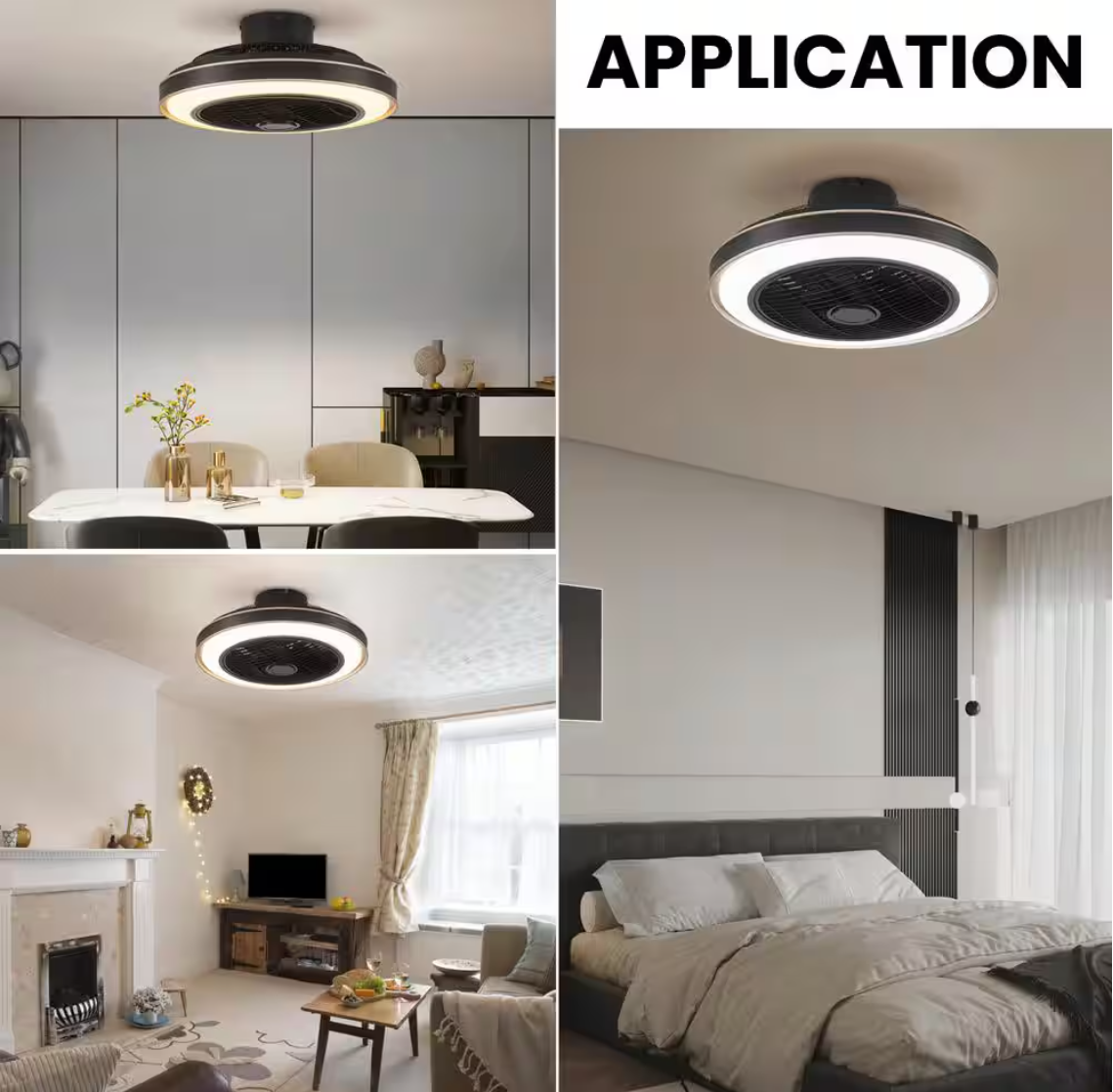 ANTOINE 20 in. Indoor Black Caged Enclosed Ceiling Fan with LED Light Modern Low Profile Ceiling Fan with Remote and APP Control