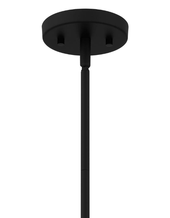 Quoizel Singh 1-Light Matte Black Shaded Mini Pendant Light