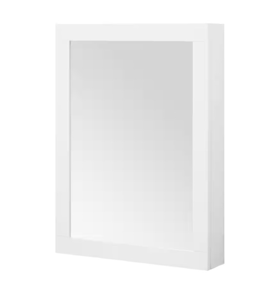 Home Decorators Collection Sturgess 24 in. W x 32 in. H Rectangular Medicine Cabinet with Mirror