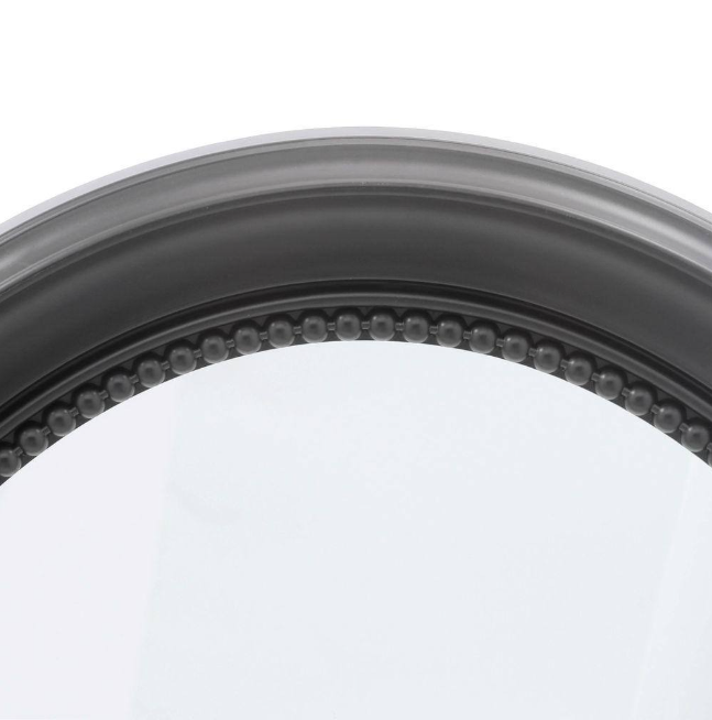 Pegasus 24 in. W x 29 in. H Oval Medicine Cabinet with Mirror