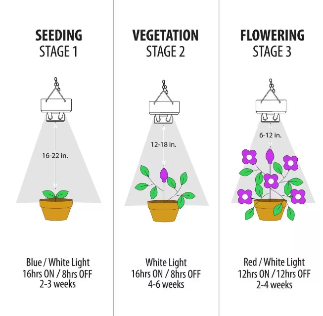 Feit Electric 24 in. 19-Watt White LED 3 Adjustable Spectrum Linkable Plant Grow Light Fixture White Adjustable Light