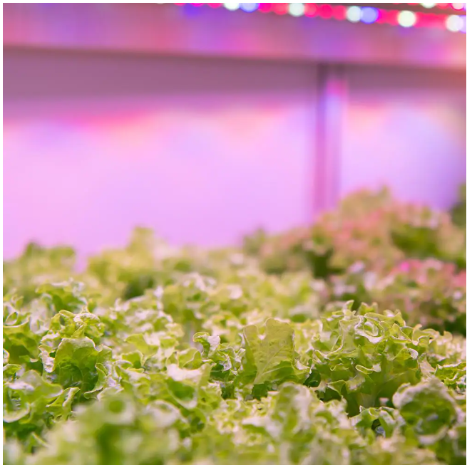 Feit Electric 2 ft. 32-Watt White LED 3 Adjustable Spectrum Linkable Plant Grow Light Fixture