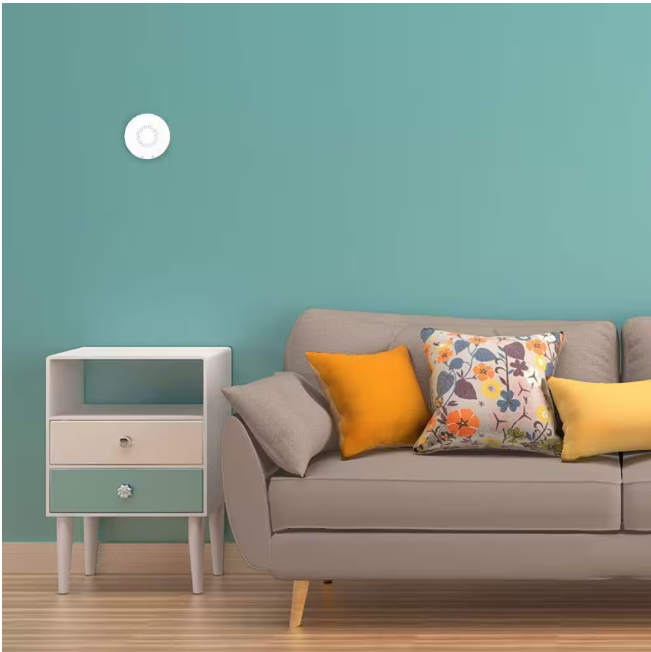 Airthings Wave Radon Battery Operated Smart Radon Detector