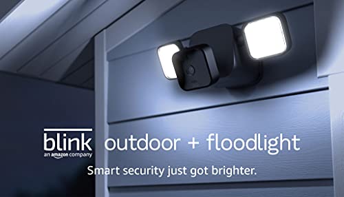 Blink Wireless Outdoor 1-Camera System Plus Floodlight, Black