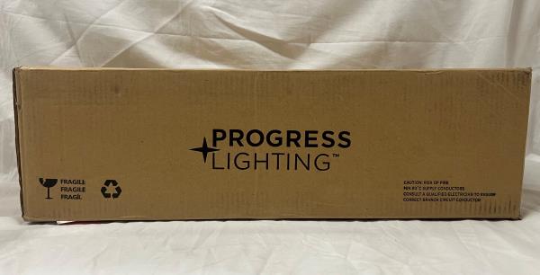 Progress Lighting Replay Collection 22 in. 3-Light Black Etched Glass Modern Bathroom Vanity Light