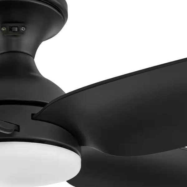 Ceva 44 in Indoor/Outdoor Matte Black Ceiling Fan w/ LED Light & Remote Control