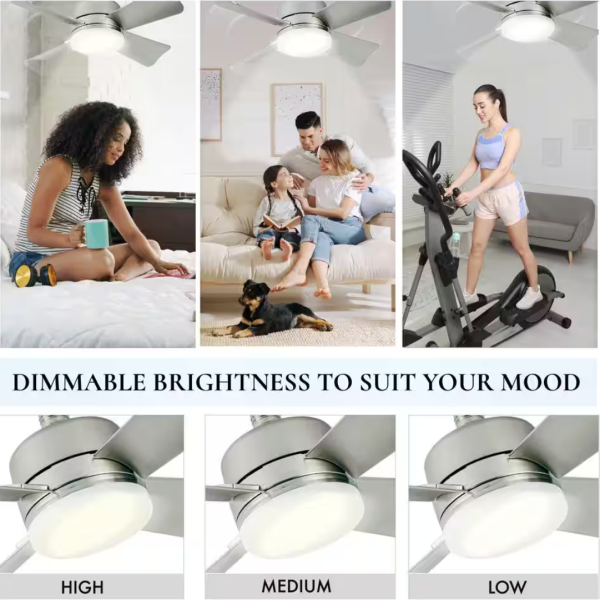 Socket Fan Ceiling Fan Light 15 Inches Fan 1000 Lumens Light 3 Speeds with Remote Control 4 Blade Ceiling Fan Light Silver