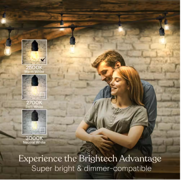 Brightech Ambience Pro 15-Light 48 ft. Outdoor Plug-in 2W 2500k LED S14 Hanging Edison Bulb String-Light