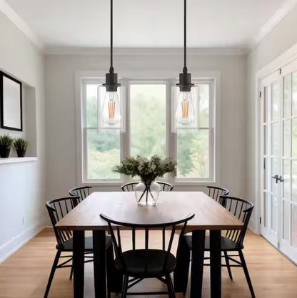 Briignite Matte Black Rustic Industrial 60-Watt 1-Light Mini Pendant Light with Glass Shade (2-Pack)