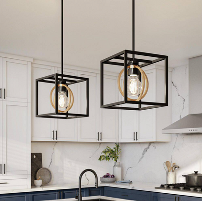 Kew Gardens 60 Watt 1 Light Matte Black and Old Satin Brass Convertible Pendant