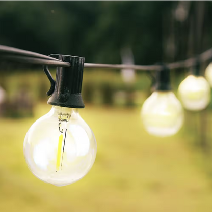 Indoor/Outdoor 50 ft. Plug-In Globe Bulbs Party LED Outdoor String Lights with 55 LED G40 Bulbs Included (5-Free Bulbs)
