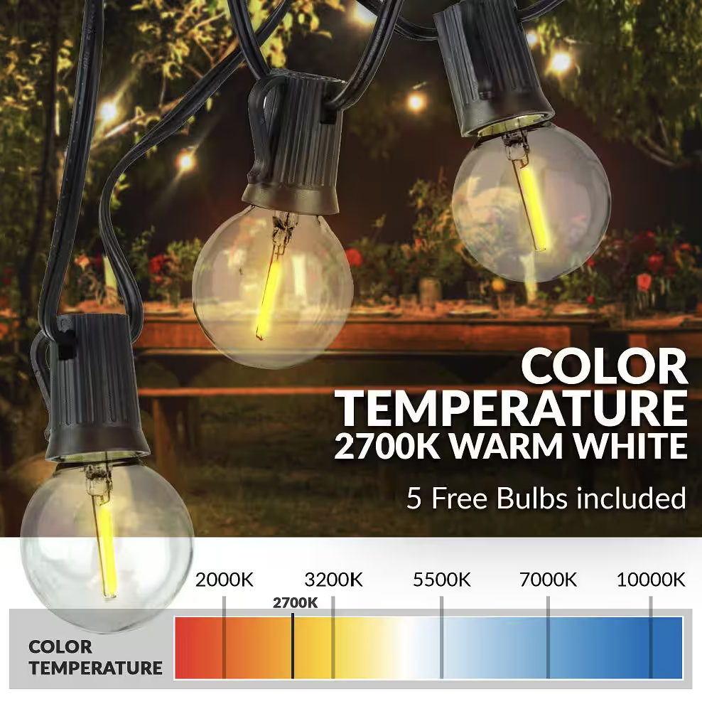 Indoor/Outdoor 50 ft. Plug-In Globe Bulbs Party LED Outdoor String Lights with 55 LED G40 Bulbs Included (5-Free Bulbs)