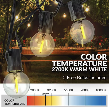 Indoor/Outdoor 50 ft. Plug-In Globe Bulbs Party LED Outdoor String Lights with 55 LED G40 Bulbs Included (5-Free Bulbs)