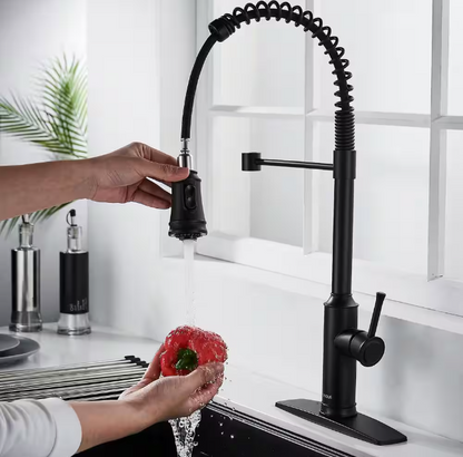 High Arc Commercial Spring Kitchen Faucet with Pull Down Sprayer in Matte Black