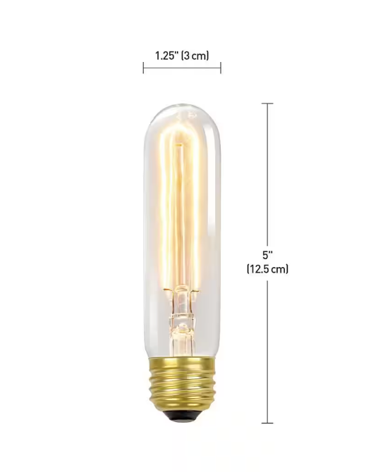 2-Pack Globe Electric 60 Watt T10 Dimmable Antique Style Radio Tube Vintage Edison Incandescent Light Bulb, Soft White Light