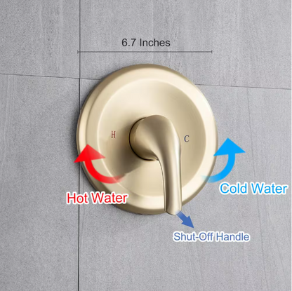 RAINLEX Single-Handle 6-Spray 6 in. Shower Head Round High Pressure Shower Faucet in Brushed Gold (Valve Included)