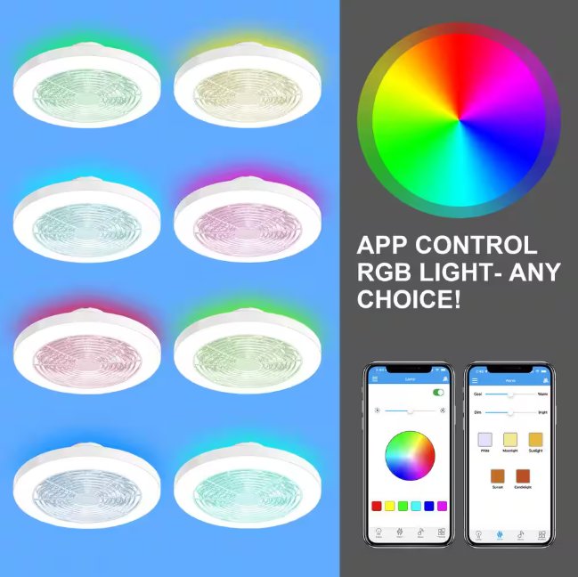 TOZING 19.7 in. Smart Indoor White Low Profile RGB Alexa Google Assistant Flush Mount Ceiling Fan Light with LED with Remote