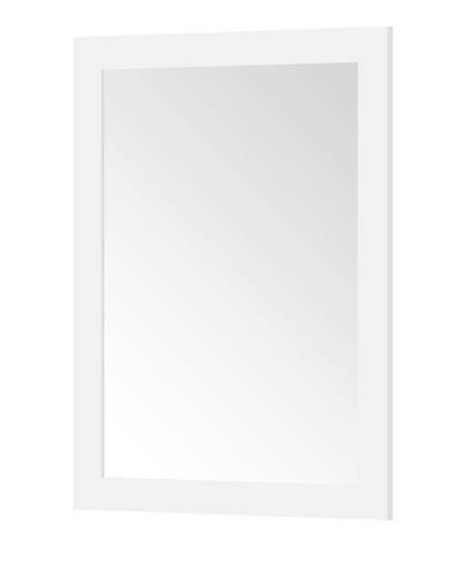 Home Decorators Collection Grace 24 in. W x 32 in. H Rectangular Framed Wall Mount Bathroom Vanity Mirror in White