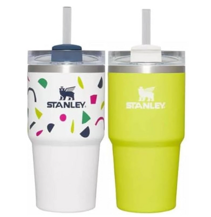 Stanley 2pk 20oz Stainless Steel H2.0 Flowstate Quencher Tumblers