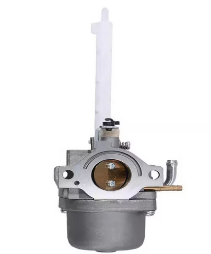 OAKTEN Replacement Carburetor for Briggs & Stratton 796122, 794593, 793161, 696737