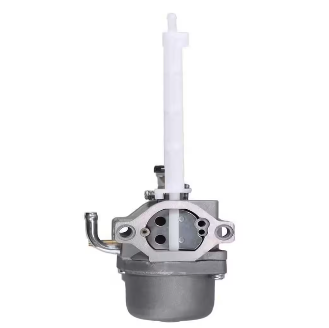 OAKTEN Replacement Carburetor for Briggs & Stratton 796122, 794593, 793161, 696737