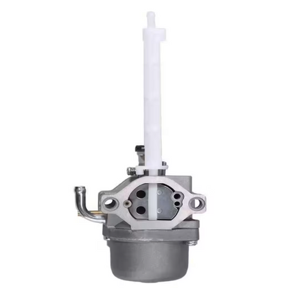 OAKTEN Replacement Carburetor for Briggs & Stratton 796122, 794593, 793161, 696737