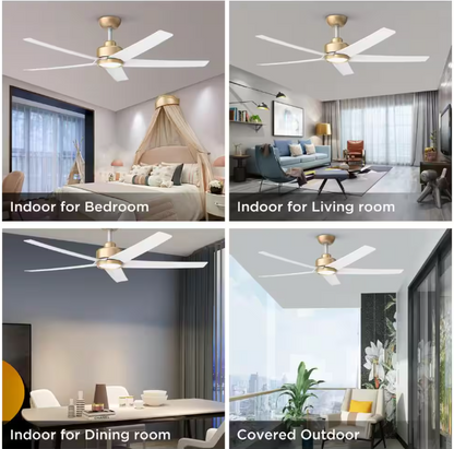 QRMOK 52 in. Indoor, Outdoor White LED Ceiling Fan with Remote, Reversible Quiet DC Motor and 5 Blades 3 CCT Light