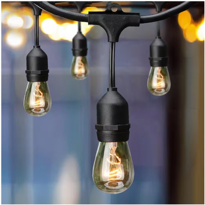 Hampton Bay 12-Light 24 ft. Indoor/Outdoor Plug-In Incandescent Edison Bulb String Light