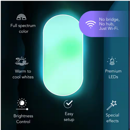 LIFX 26 in. Oval Capsule Smart White Multi-Color WiFi Selectable LED Flush Mount Ceiling Light Works Alexa/Hey Google/HomeKit