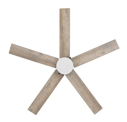 Hampton Bay Caltris 52 in. Integrated LED Indoor/Outdoor Matte Black Ceiling Fan with Light and Pull Chains Included