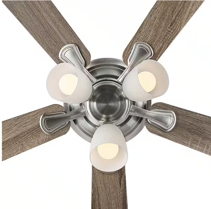 Hampton Bay Riley 44 in. Indoor LED Brushed Nickel Ceiling Fan with Light Kit, 5 QuickInstall Reversible Blades and Remote Control