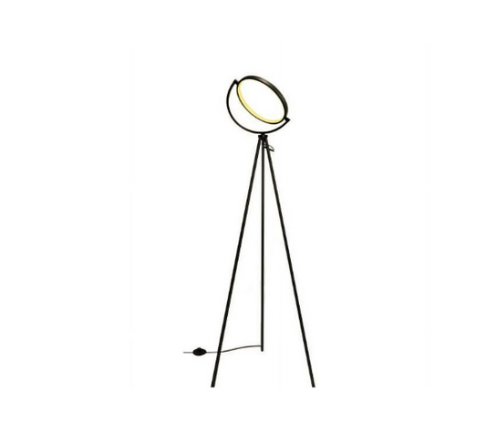 HomeRoots 60 in. Black LED Tripod Color Changing Ring Light Floor Lamp
