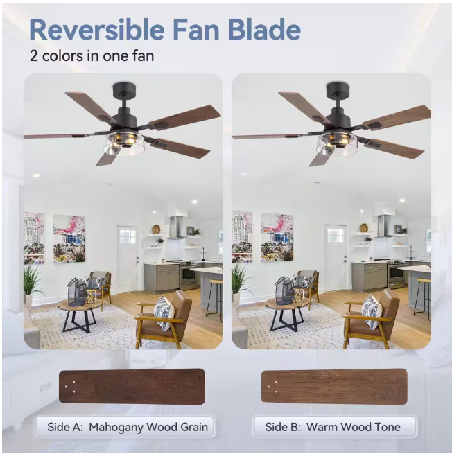 Breezary Anchal 52 in. 2-Light Indoor Farmhouse Black Standard Ceiling Fan with Glass Light Kit and Remote Included