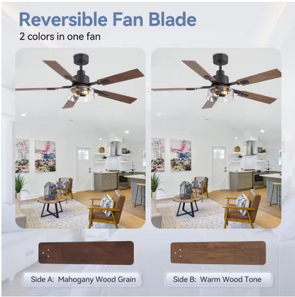 Breezary Anchal 52 in. 2-Light Indoor Farmhouse Black Standard Ceiling Fan with Glass Light Kit and Remote Included