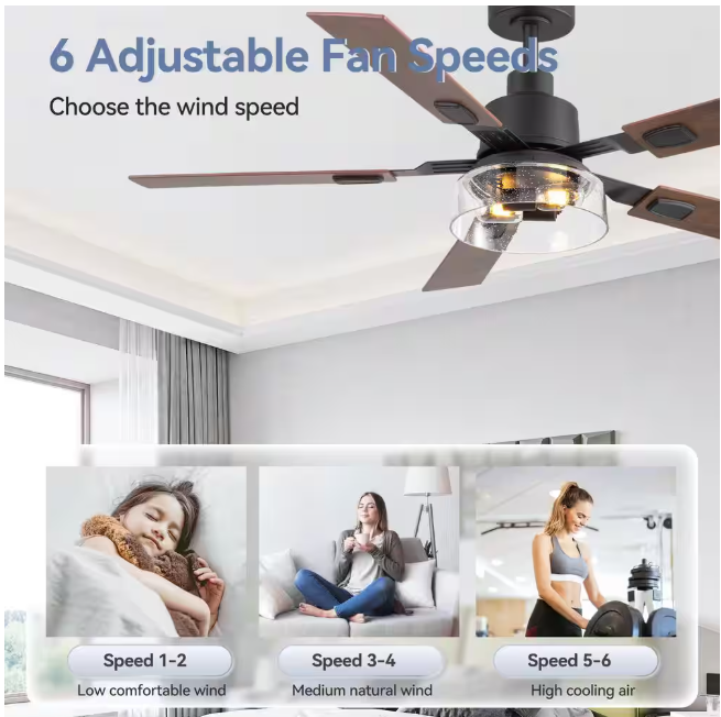 Breezary Anchal 52 in. 2-Light Indoor Farmhouse Black Standard Ceiling Fan with Glass Light Kit and Remote Included