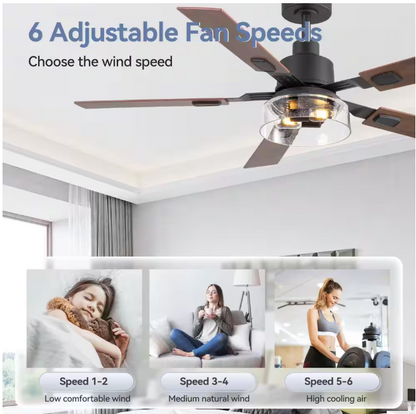 Breezary Anchal 52 in. 2-Light Indoor Farmhouse Black Standard Ceiling Fan with Glass Light Kit and Remote Included