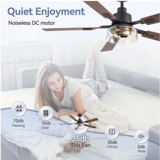 Breezary Anchal 52 in. 2-Light Indoor Farmhouse Black Standard Ceiling Fan with Glass Light Kit and Remote Included