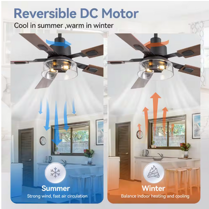 Breezary Anchal 52 in. 2-Light Indoor Farmhouse Black Standard Ceiling Fan with Glass Light Kit and Remote Included