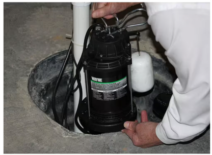 Wayne 1/2 HP Cast Iron Submersible Sump Pump with Vertical Float Switch