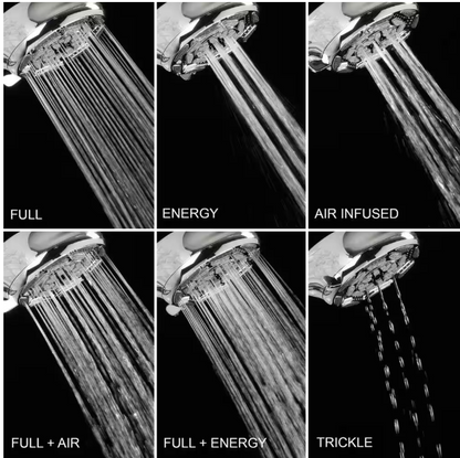 Glacier Bay 4 in. 6-Spray Wall Mount Handheld Shower Head in Chrome