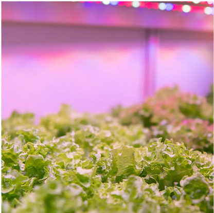 Feit Electric 2 ft. 32-Watt White LED 3 Adjustable Spectrum Linkable Plant Grow Light Fixture