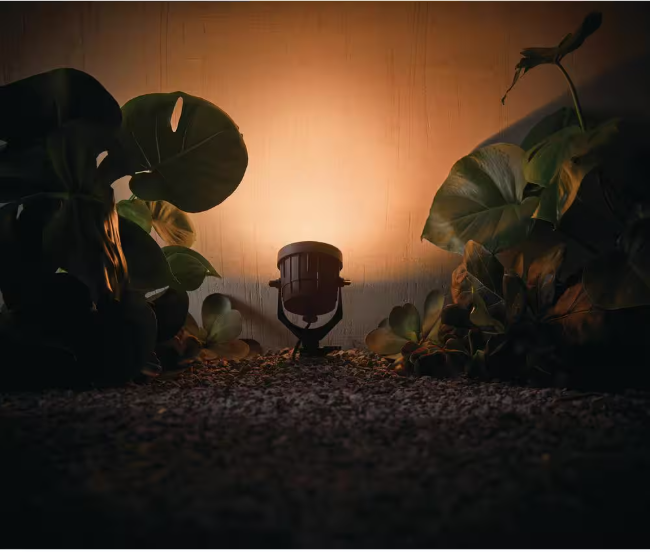 Hampton Bay 75-Watt Equivalent Low Voltage Black LED Outdoor Landscape Flood Light Powered by Hubspace