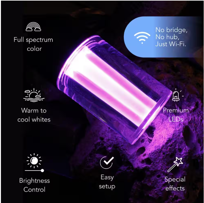LIFX 12-Light 24 ft. Outdoor Plug-In RGB Integrated LED Smart Wi-Fi String Light, Works with Alexa/Hey Google/HomeKit/Siri