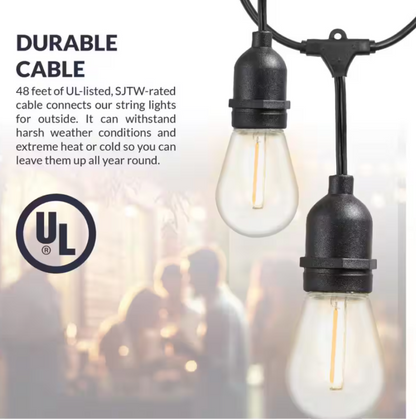 Outdoor 48 Ft. Plug-in S14 Edison Bulb Weatherproof String Light with 16 Edison LED Light Bulbs, 2700K, Black