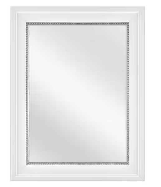 Home Decorators Collection 20 in. W x 26 in. H Rectangular Medicine Cabinet with Mirror