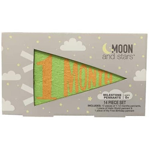 Moon & Stars Baby Milestone Pennants